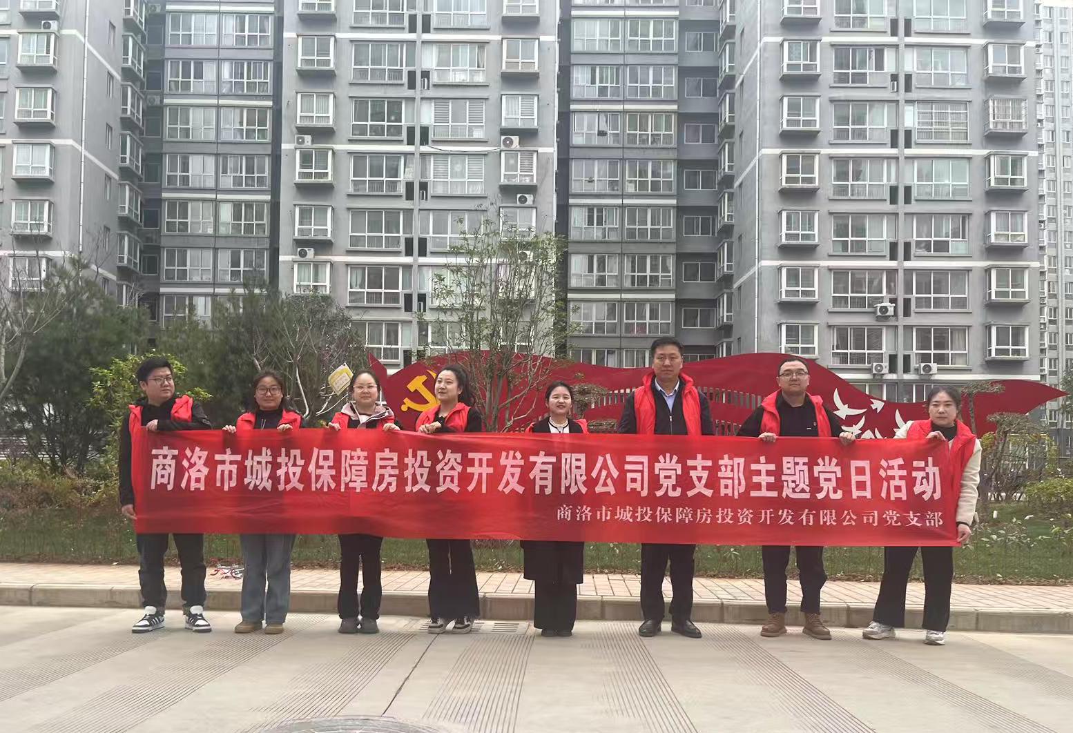 市城投保障房公司黨支部開展&ldquo;傳承雷鋒精神，賡續(xù)時代榮光&rdquo;主題黨日活動